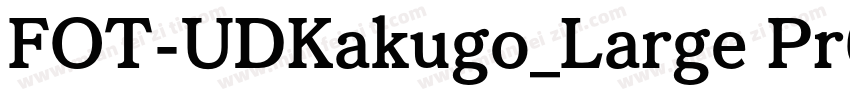 FOT-UDKakugo_Large Pr6N B字体转换